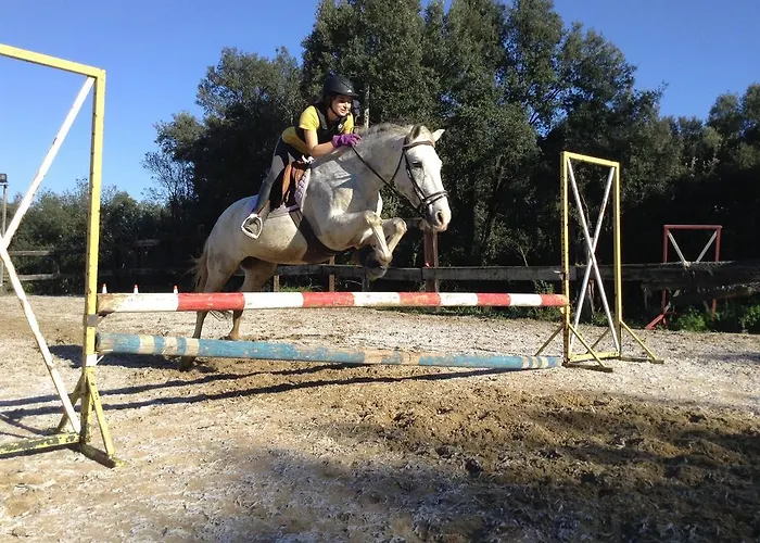 Mas Pelegri 3* Seriñá