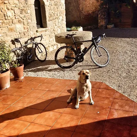 Mas Pelegri Hotell Seriñá