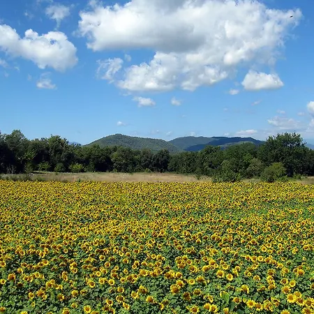 Mas Pelegri Hotell Seriñá