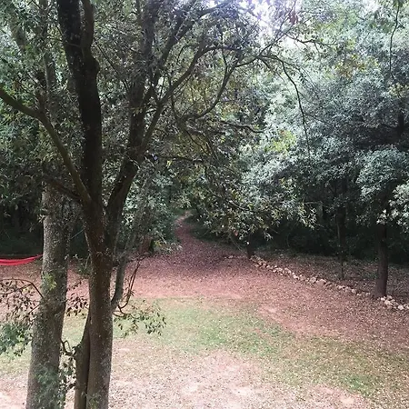 Mas Pelegri Hotell Seriñá