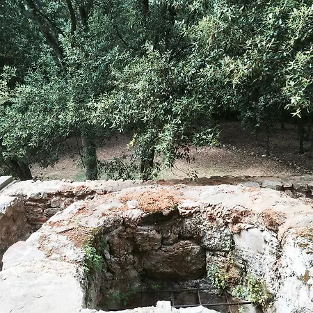 Mas Pelegri 3* Seriñá