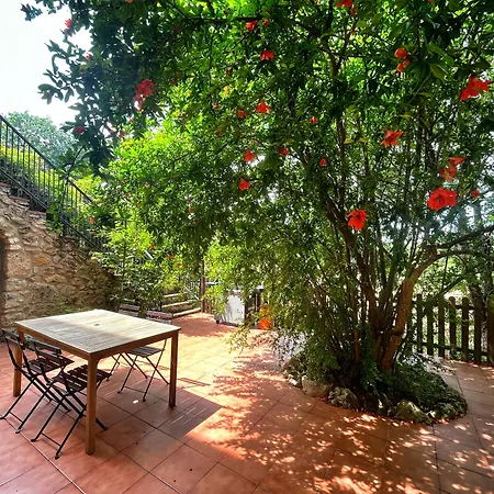 Hotel Mas Pelegri Seriñá