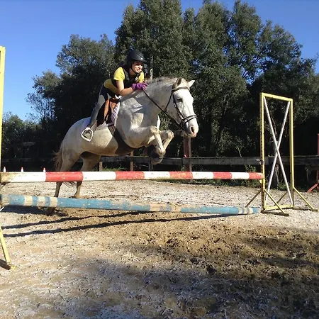 Mas Pelegri 3* Seriñá